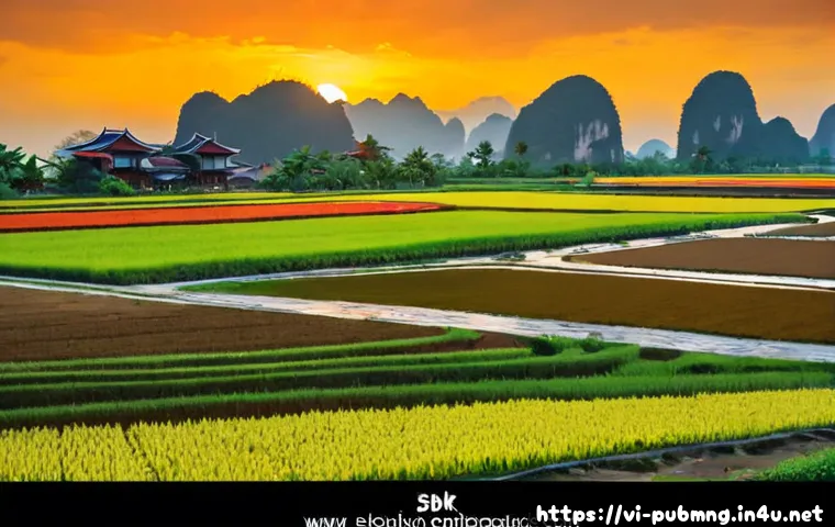 Có nên học chứng chỉ quản lý công cộng? Ưu điểm, hạn chế và tiêu chí chọn khóa học 4 공공관리사 자격증의 장점과 단점 관련 이미지 2